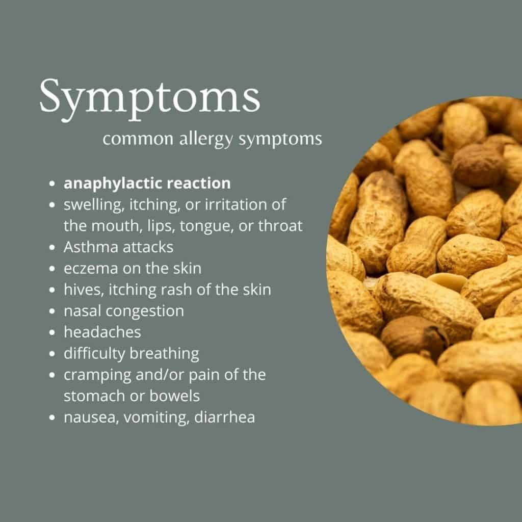 infographic of a symptoms of a peanut allergy on a dark green background with white text and image of peanuts on right hand side