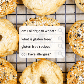close up of mini gluten free bagels resting on a black cooling rack on the kitchen countertop. a white box of text appears in the center of the image as a search bar asking am I allergic to gluten