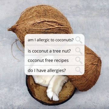 3 coconuts rest on a gray background. a search bar is shown asking questions if I have coconut allergies