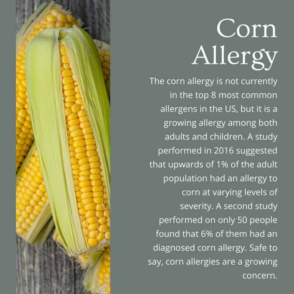 a green image with white text talking about corn allergies with an image on the left side showing ears of corn