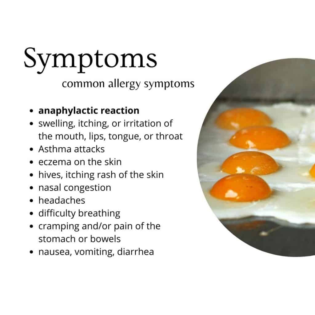 many fried eggs on the griddle are shown next to a text box of egg allergy symptoms