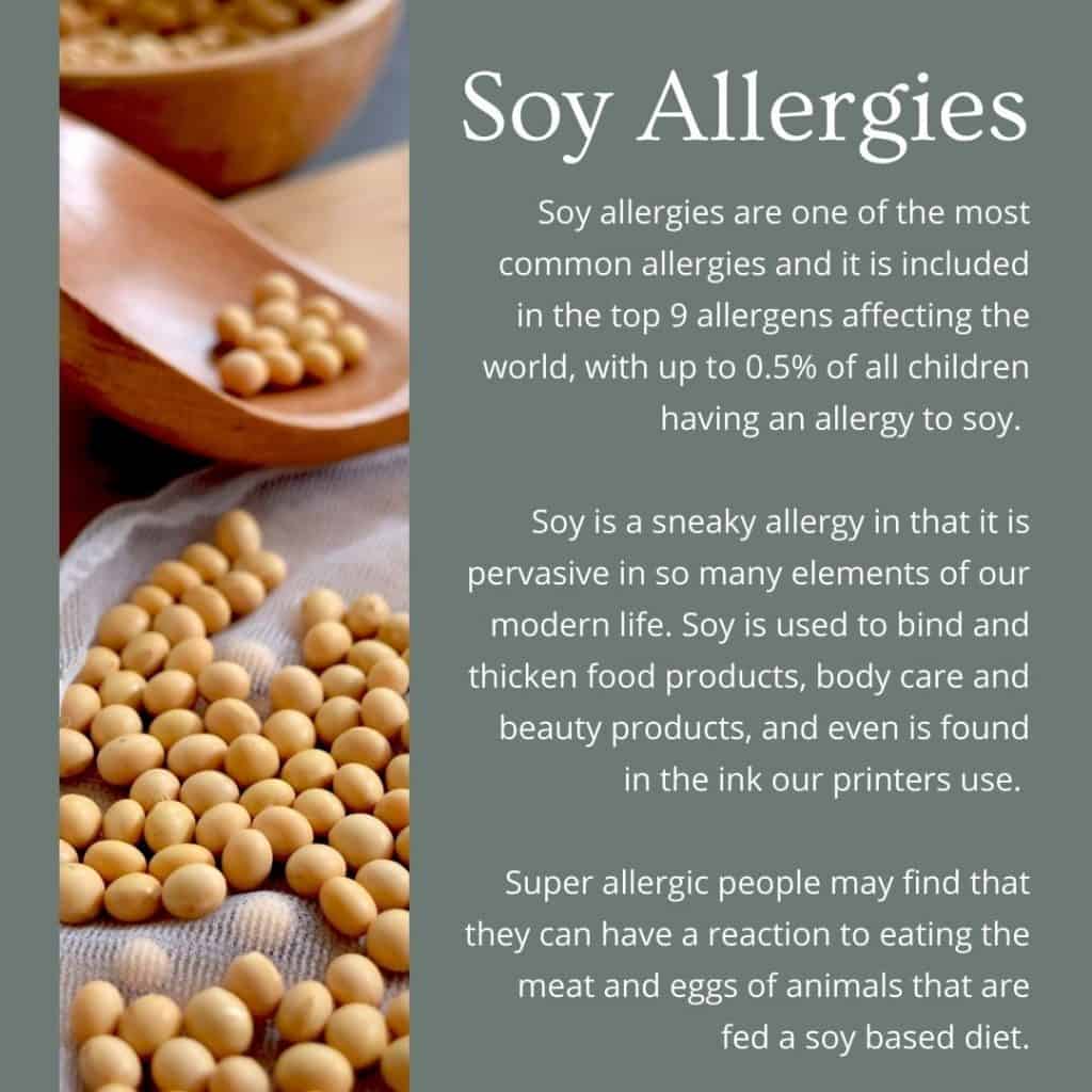 a green image with a picture of soy beans next to text explaining what a soy allergy is