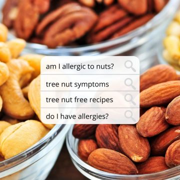 a variety of nuts are shown in glass jars. a search bar with questions about tree nut allergies is also seen