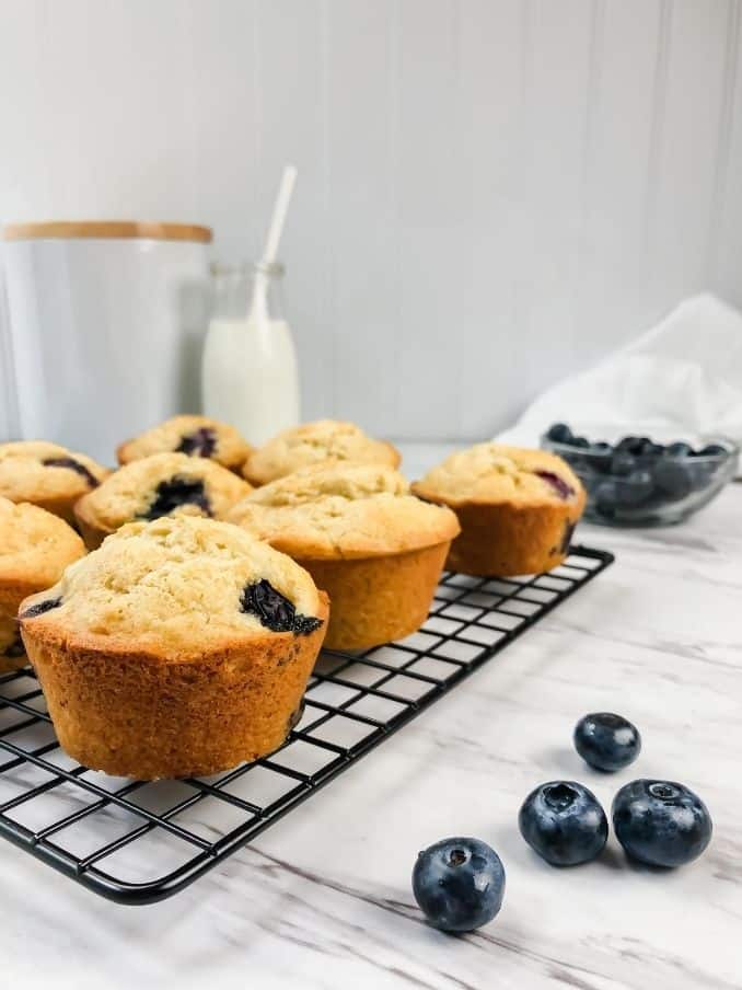 glutenfree vegan blueberry muffins on a cooling rackc // livingbeyondallergies.com
