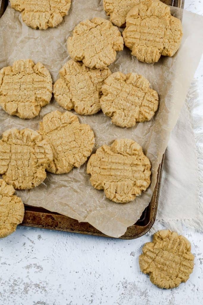 a batch of sun butter cookies are on a cookie tray with parchment paper