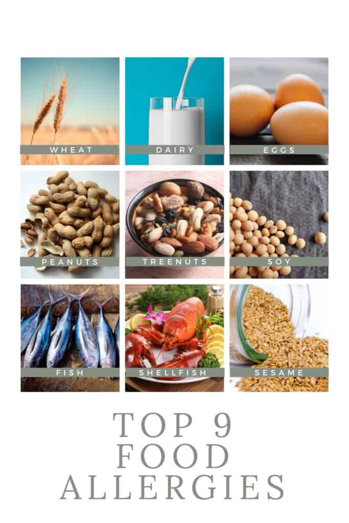 nine grid of the top nine food allergies on a white background 