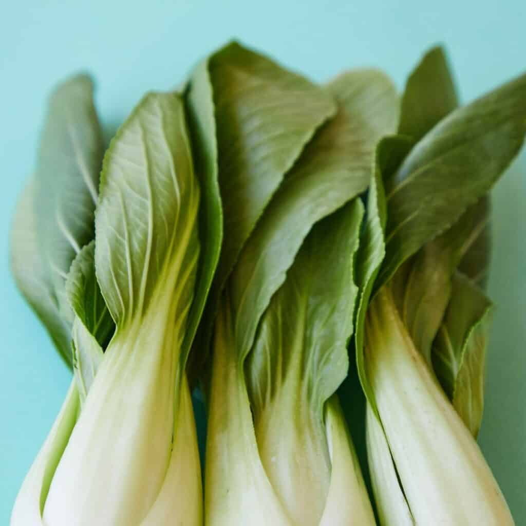 bunches of baby bok choy on a blue background