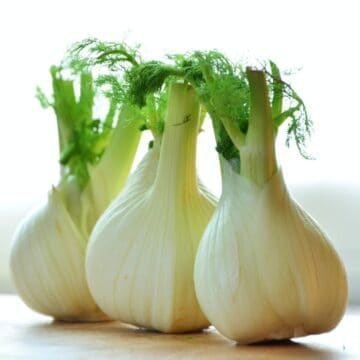 three fennel bulbs in front of a window