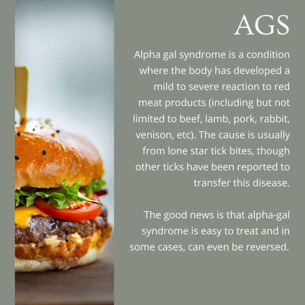 text box with alpha gal allergy info with an image of a burger
