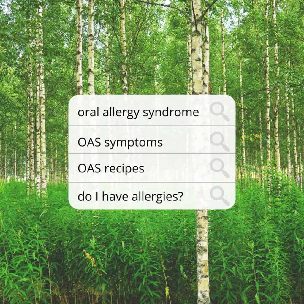 birch trees in a forest with questions about oas on top