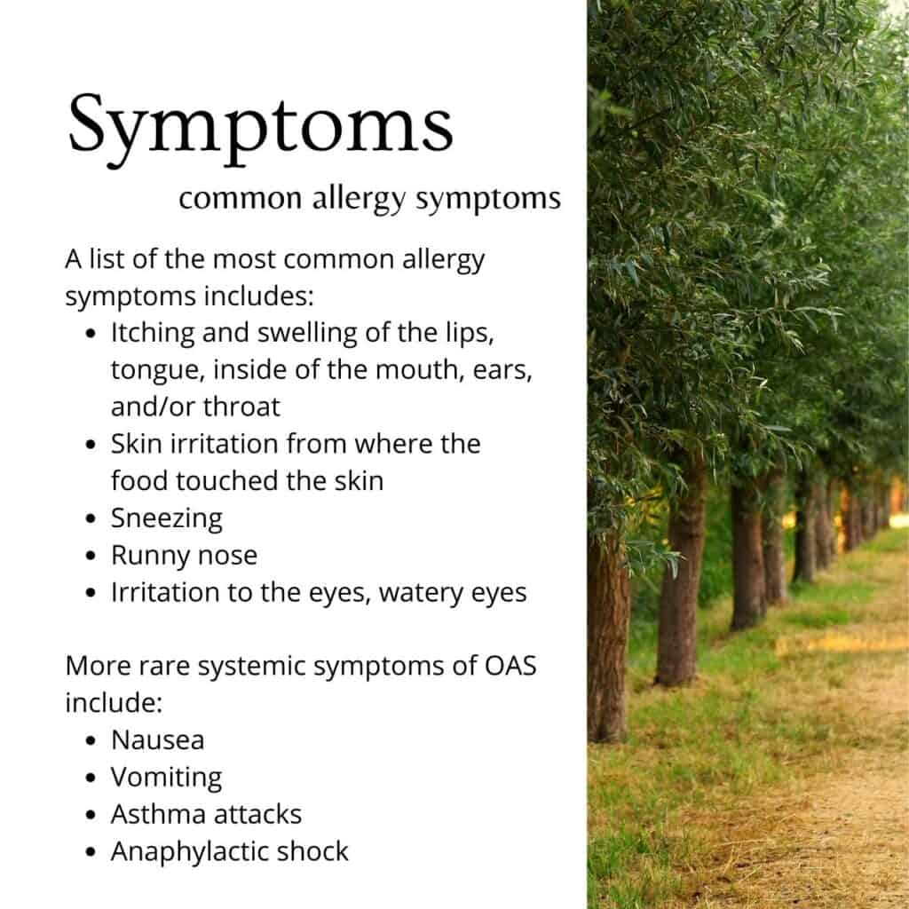 symptoms of oral allergy syndrome on a white box with an image of trees