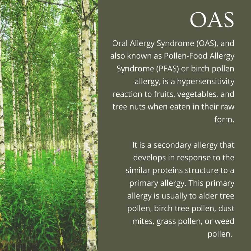 green box with text explaining about OAS with an image of birch trees