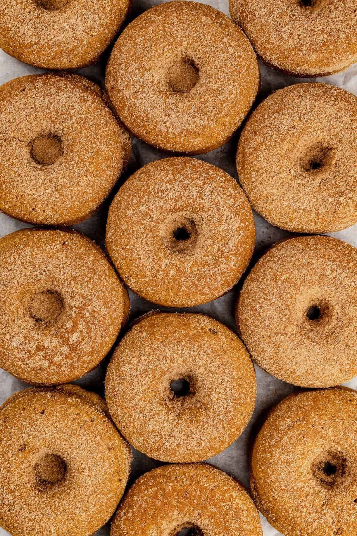 12 finished vegan pumpkin donuts are lined up in rows. they are covered in cinnamon sugar. you can see the white parchment paper they are resting on.
