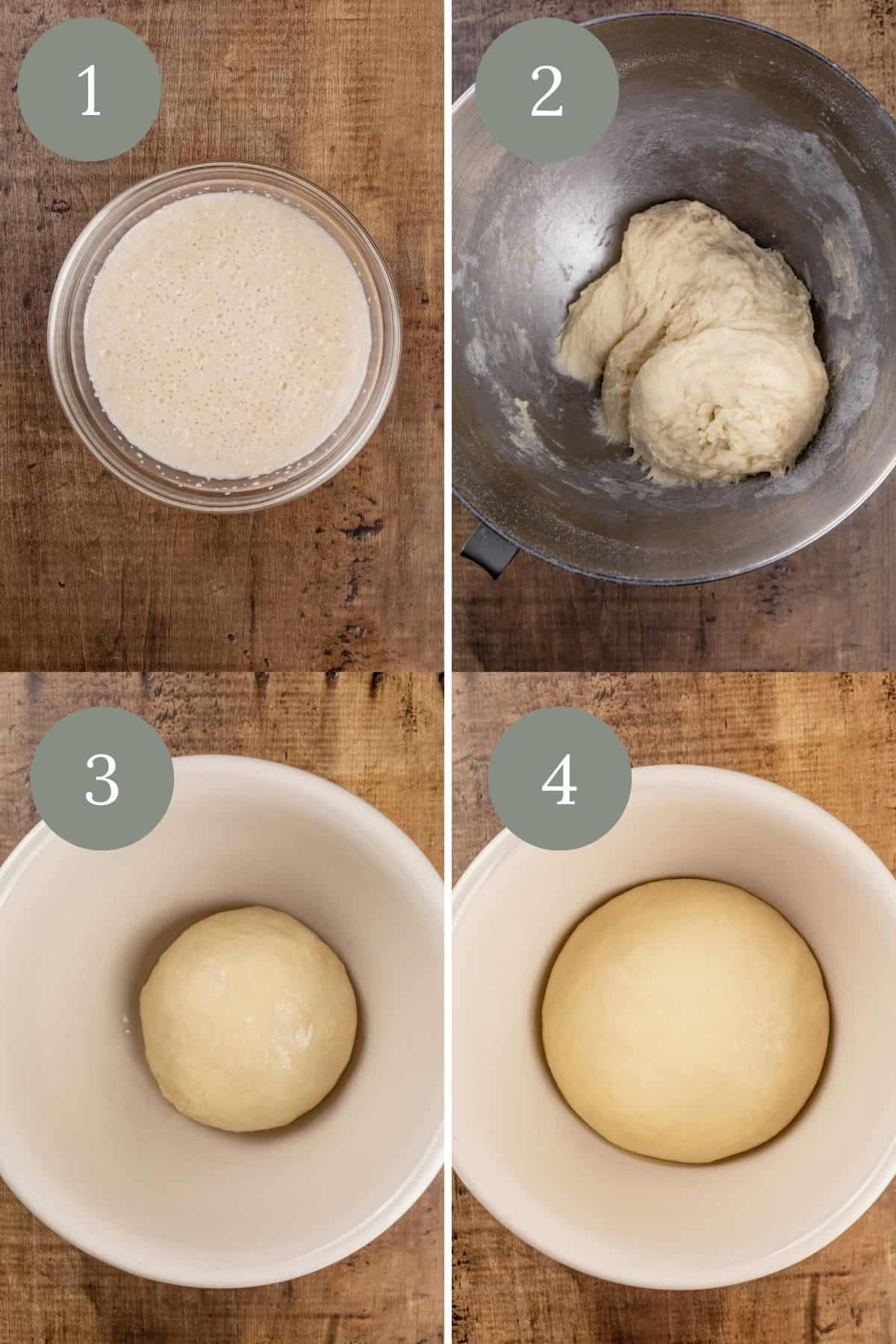 steps 1 through 4 of making the dinner rolls. a green circle with a white number is in the upper left corner.