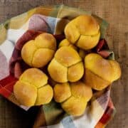 round basket with an autumn colored kitchen towel that is holding a bunch of pumpkin clover rolls. they are all just tumbled together and you can see how evenly baked they are.