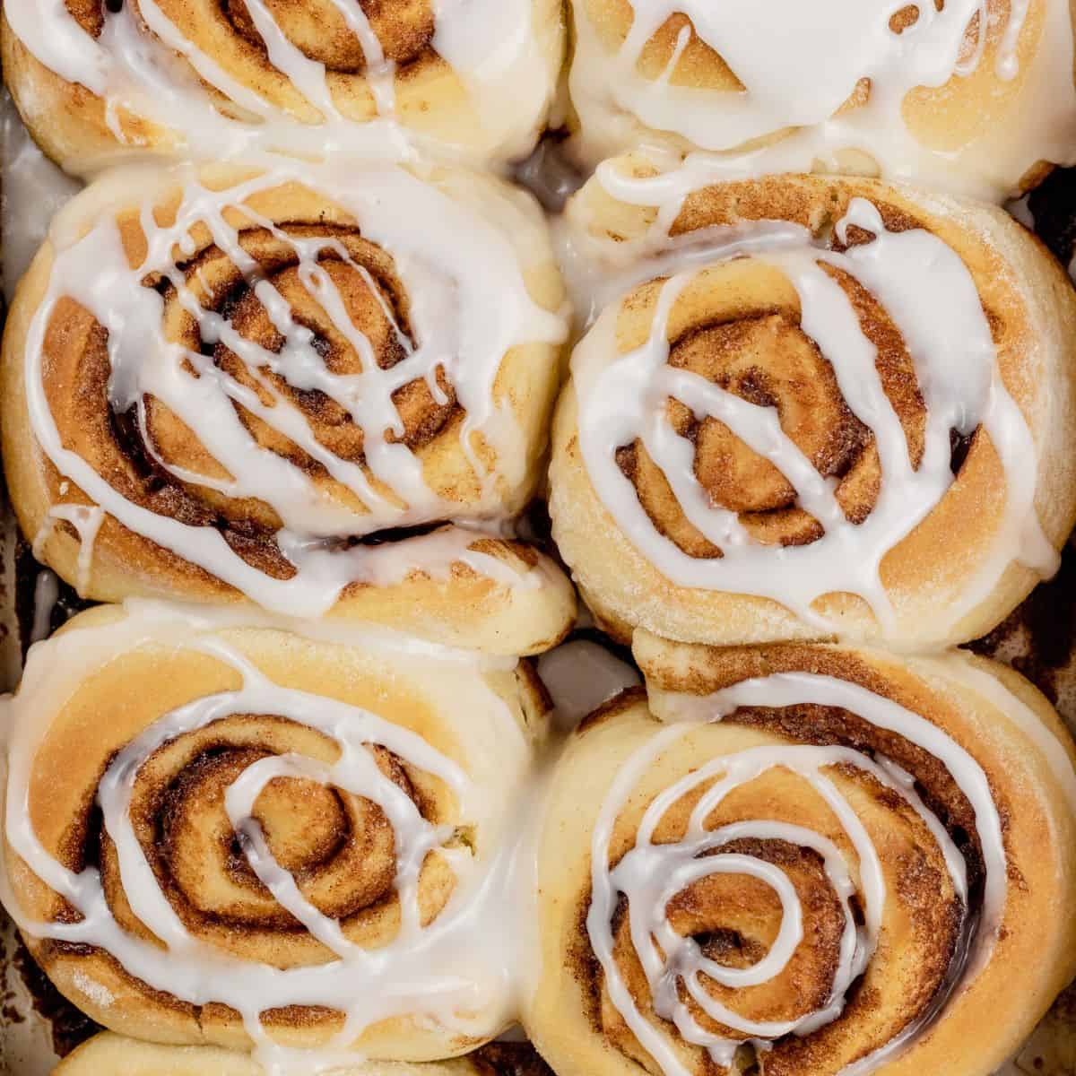 looking at the top of many vegan cinnamon rolls in a baking dish covered with white icing.