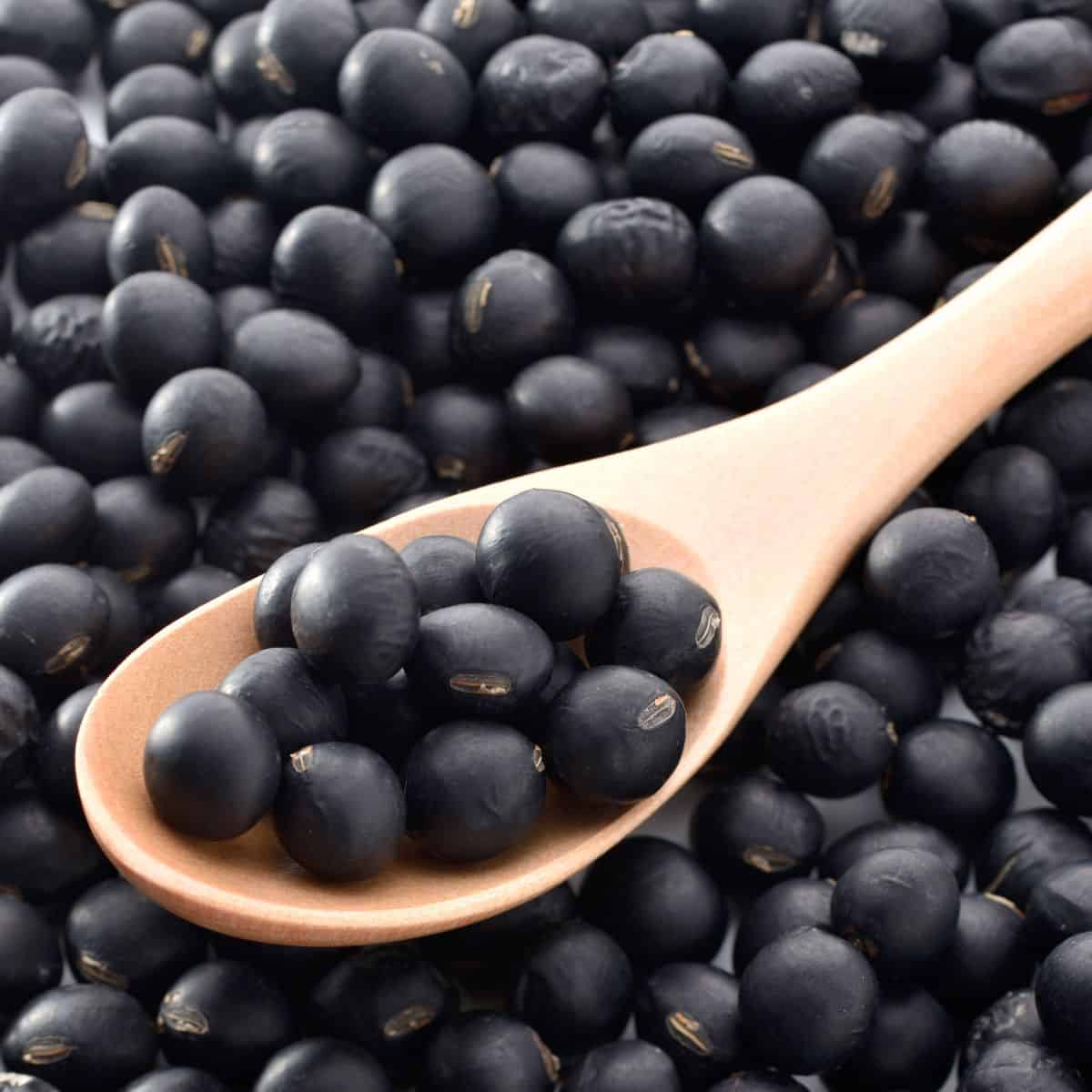 Many small black soybeans are seen with a wood spoon resting in the pile with a few soybeans in the spoon.