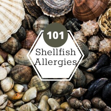 A bunch of scallop, clam, and other shelled shellfish. A white hexagon with black text reads, "shellfish allergies 101".