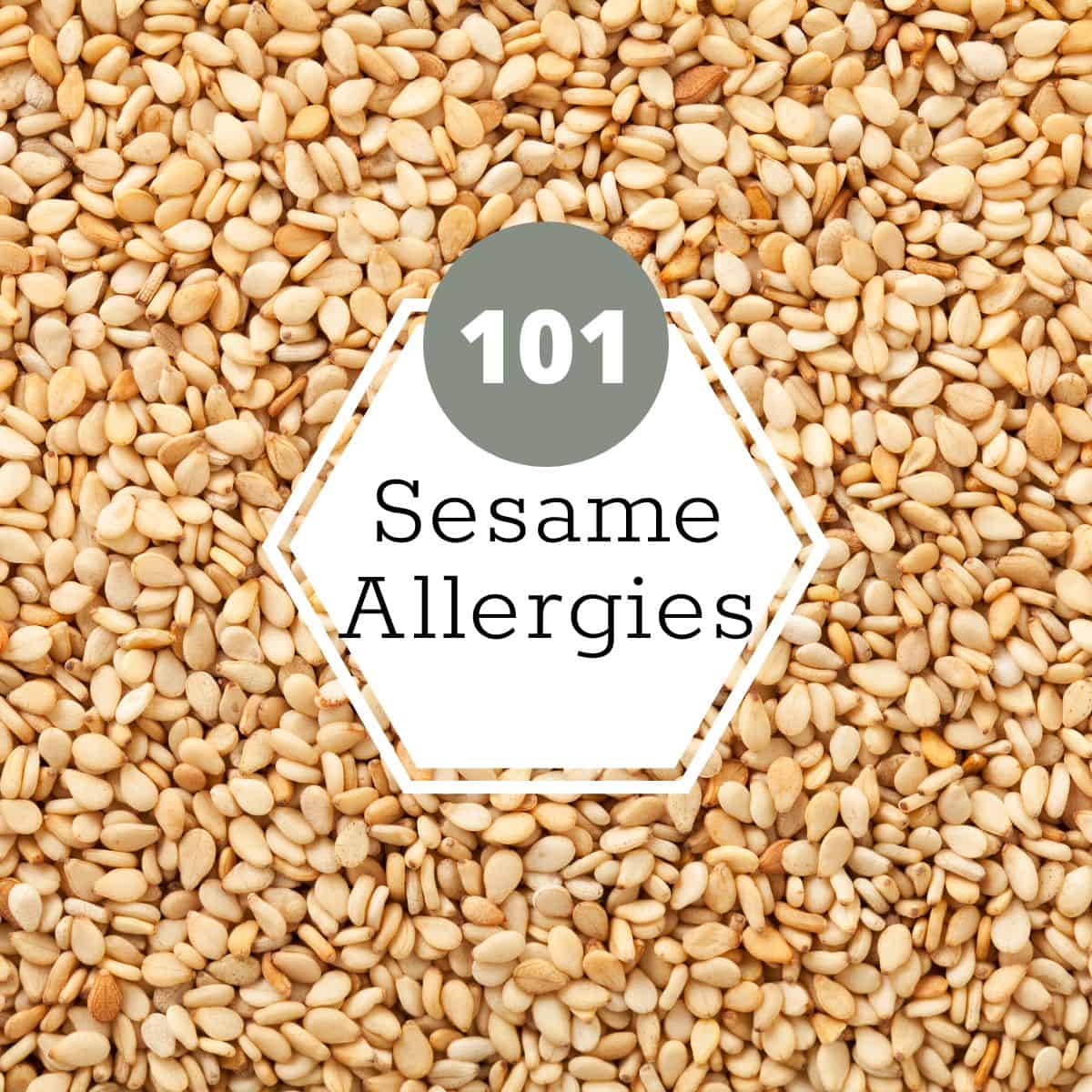 Close up of many sesame seeds. A white hexagon with text written on it is in the middle that says, "sesame allergies 101".