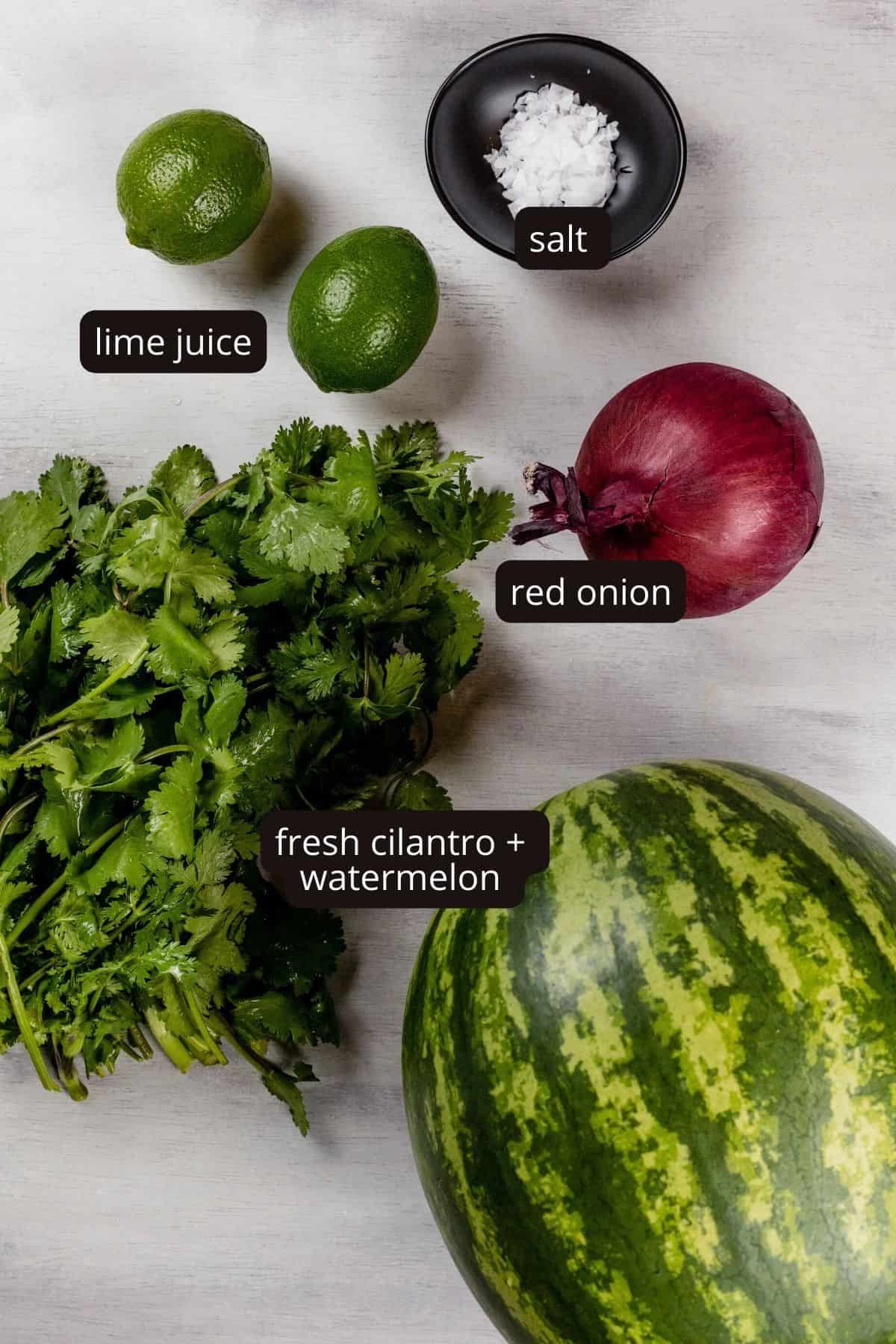 Ingredients for tomato free salsa on a white countertop. Black and white labels have been added to name each ingredient, like watermelon and lime juice.
